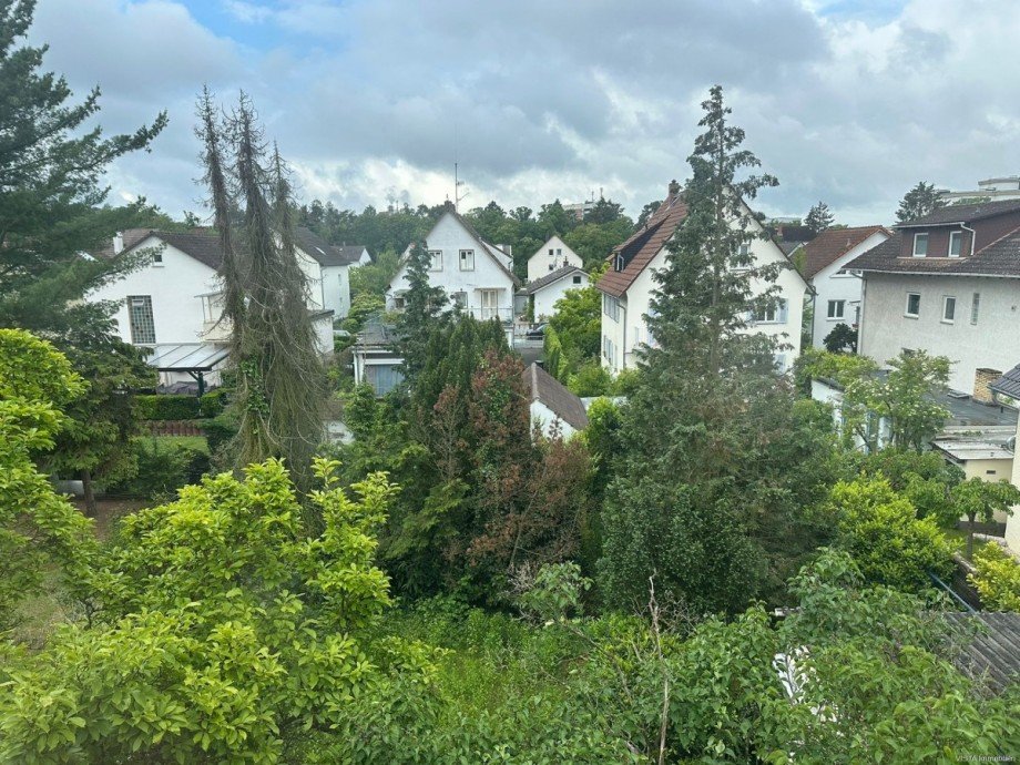 Ansicht Garten Einfamilienhaus Darmstadt / Eberstadt