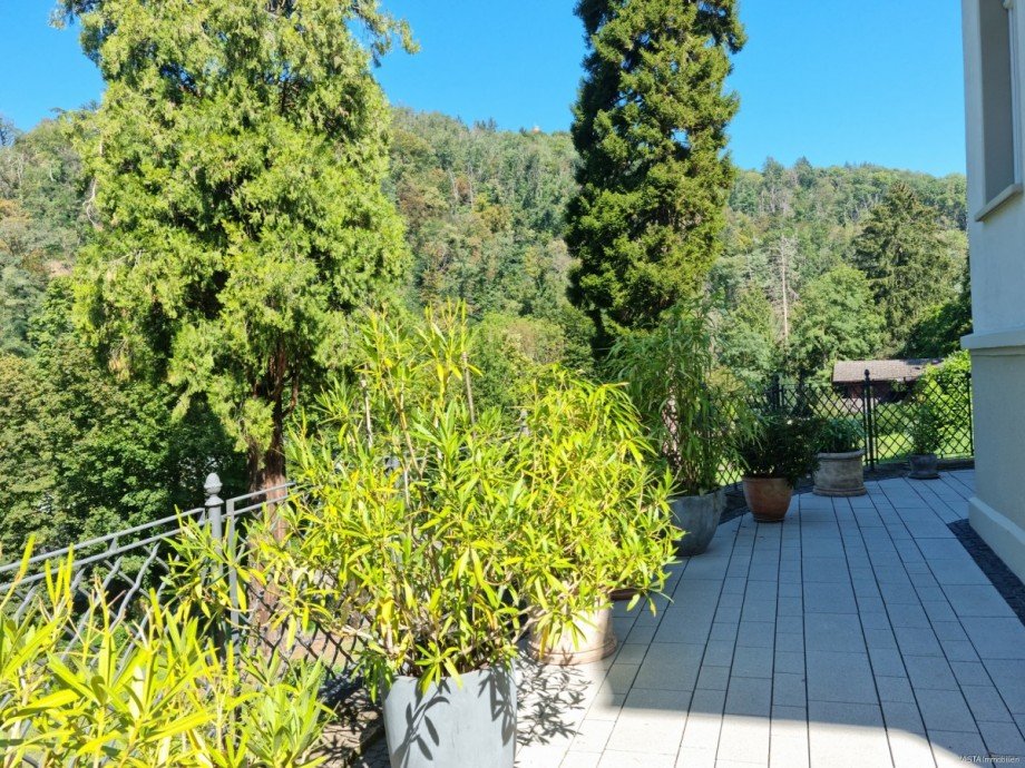 West-Terrasse Ansicht 3 Etagenwohnung Bensheim / Auerbach