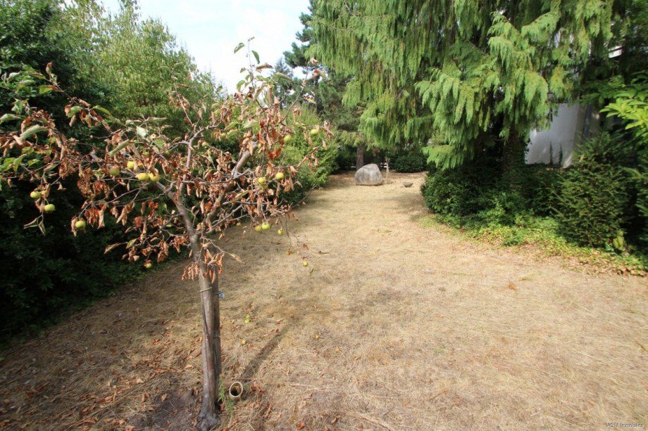 Garten Einfamilienhaus Darmstadt